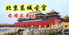 粗黑大肉棒狂草骚逼中国北京-东城古宫旅游风景区